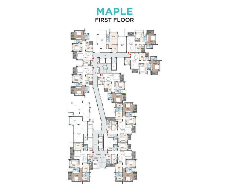 Maple-1st-Floor